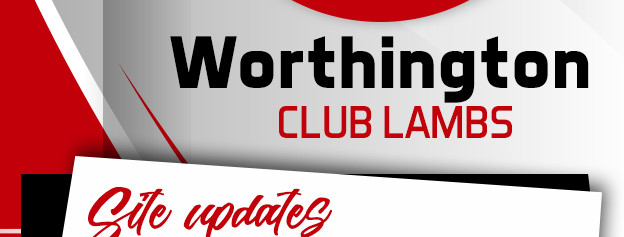 Worthington Club Lambs